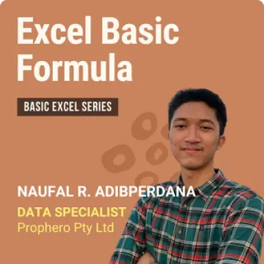 IDNExpert Basic Formula in Microsoft Excel